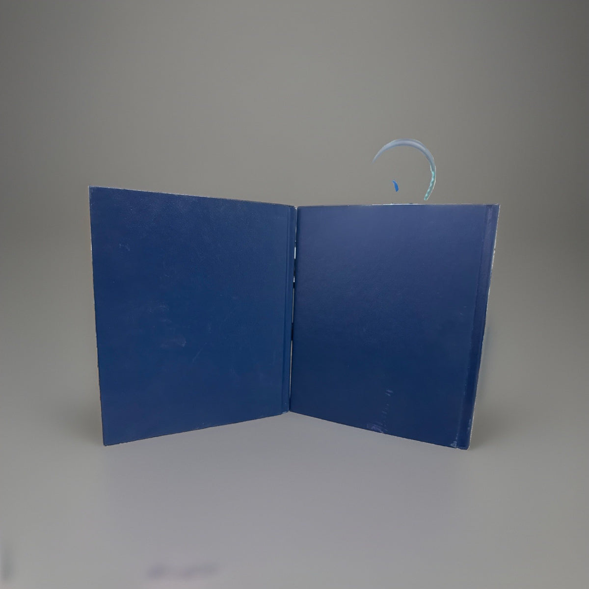 The American Medical Association Home Medical Encyclopedia two-volume hardcover