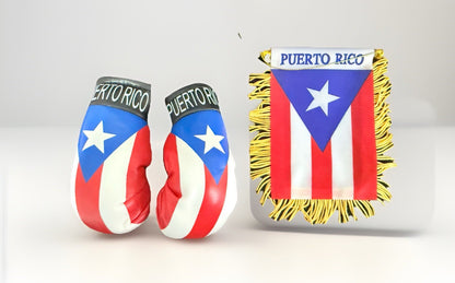 Puerto Rico Mini Banner 4 x 6 Flag Boxing Gloves Boricua Rican 
