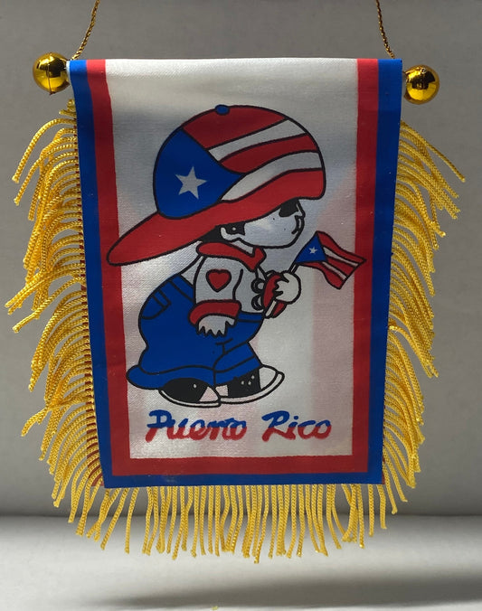 Puerto Rico Mini Banner Boricua Boy Car Window Flag