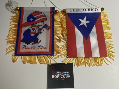 Puerto Rico Mini Banner Boricua Boy Car Window Flag