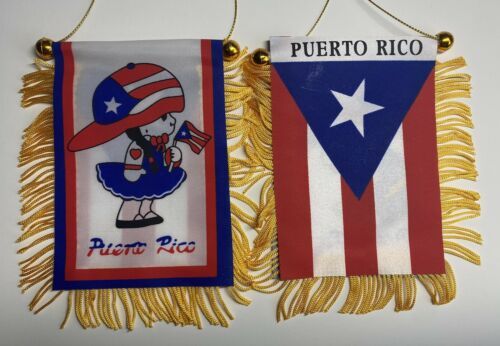 Puerto Rico Mini Banner Boricua Girl Car Window Flag 