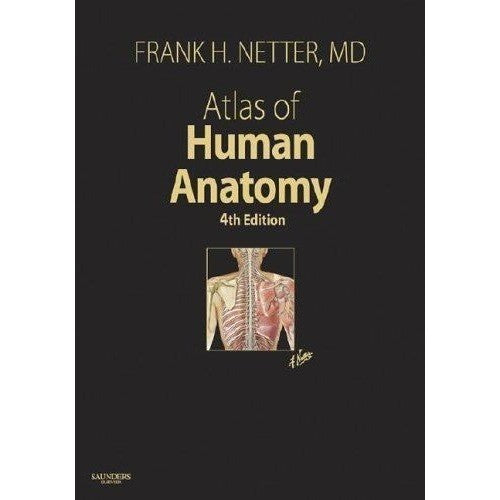 Atlas of Human Anatomy 4th Edition Frank H Netter MD Hardcover Textbook 2006