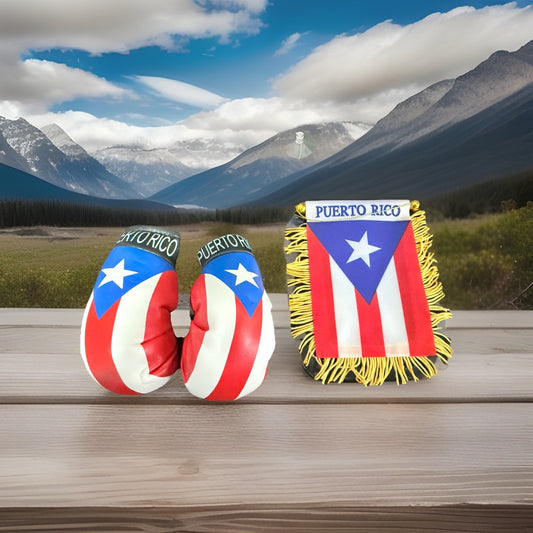 Puerto Rico Mini Banner 4x6 Flag Boxing Gloves Boricua Rican Collectible Set
