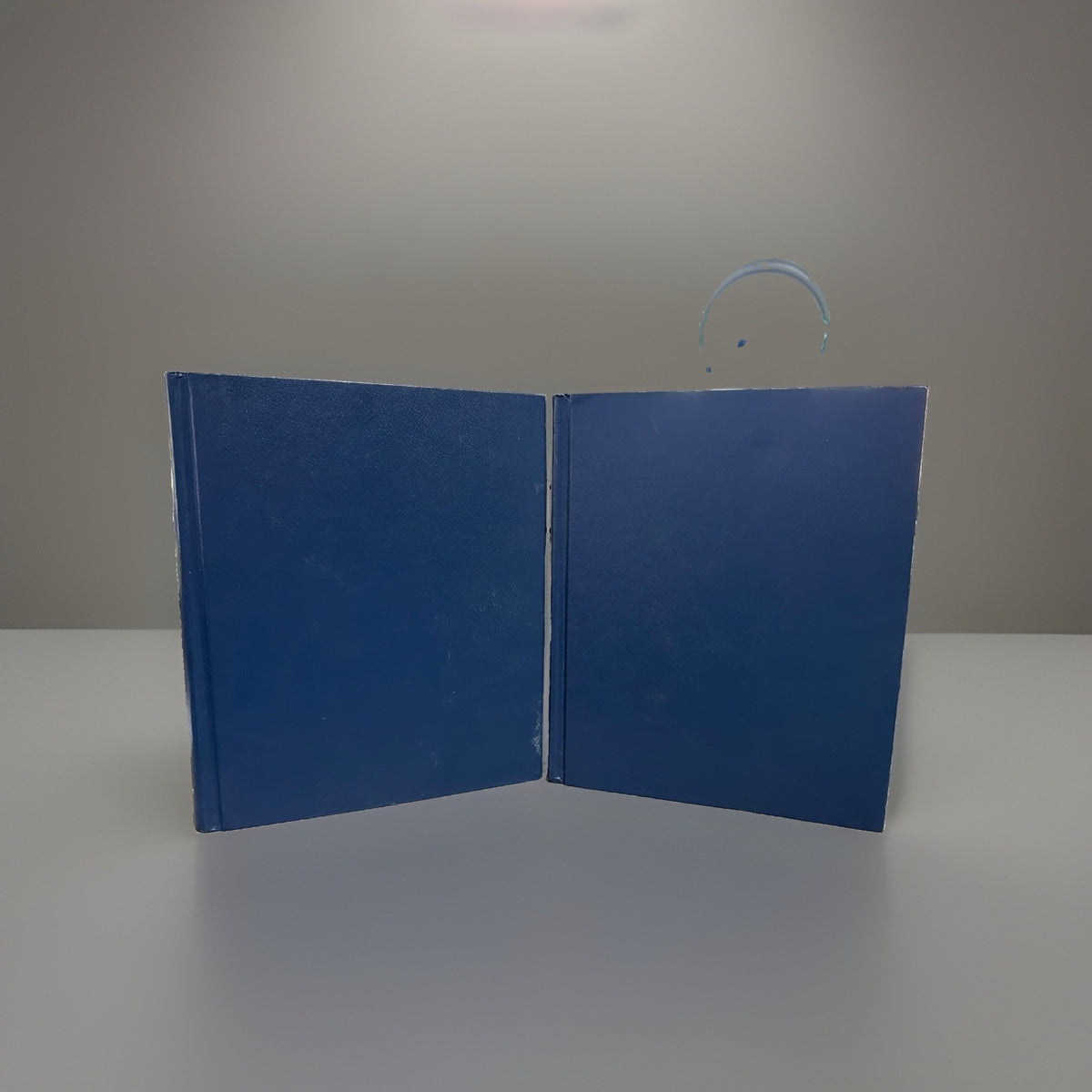 The American Medical Association Home Medical Encyclopedia two-volume hardcover