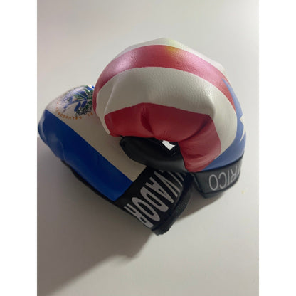 Puerto Rico and El Salvador Mini Boxing Gloves Flag Souvenir Hanging Car