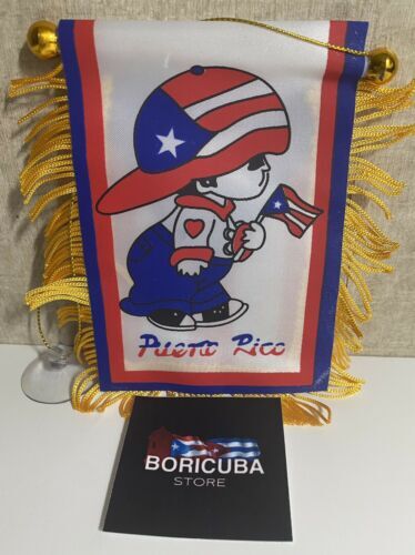 Puerto Rico Mini Banner Boricua Boy Car Window Flag