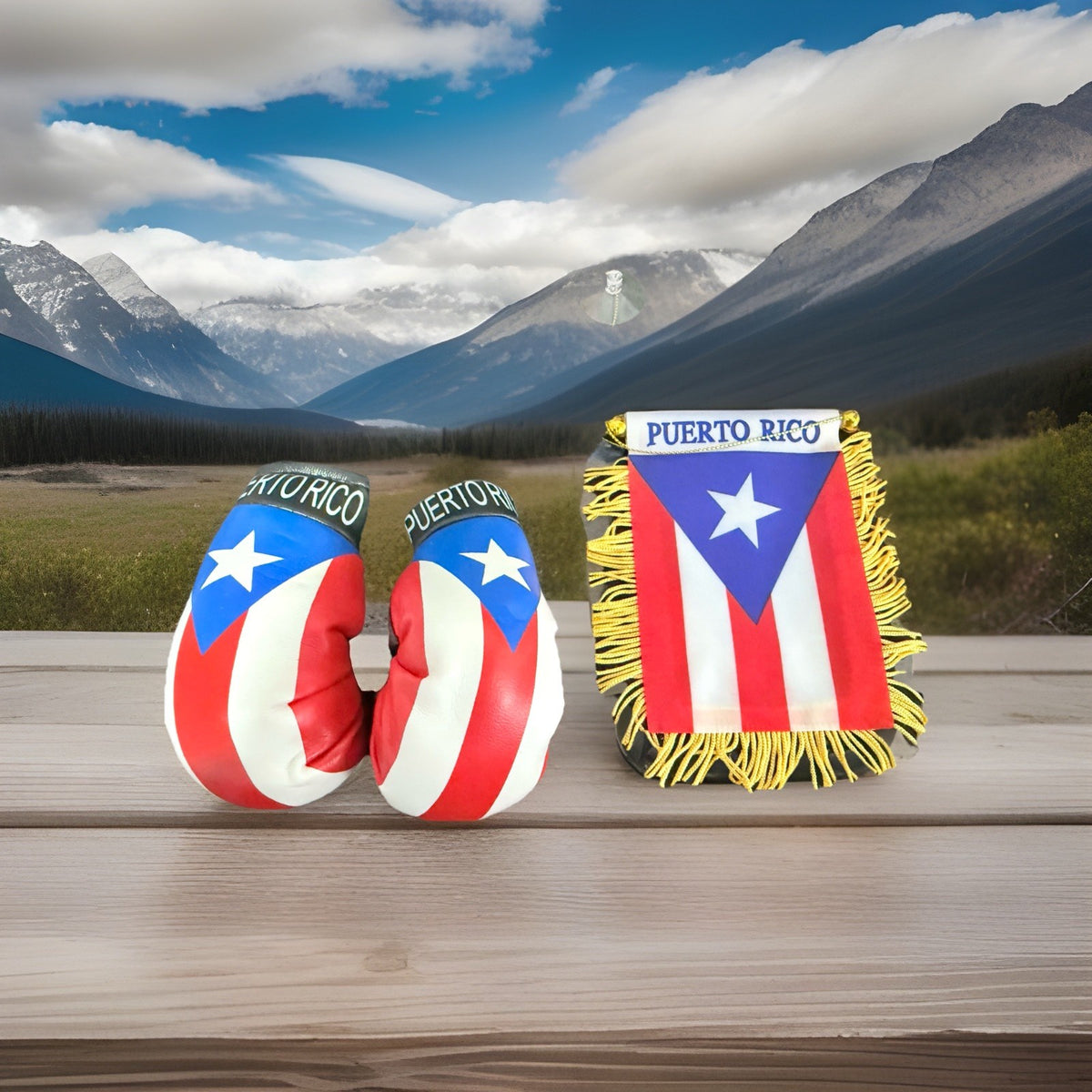 Puerto Rico Mini Banner 4 x 6 Flag Boxing Gloves Boricua Rican 