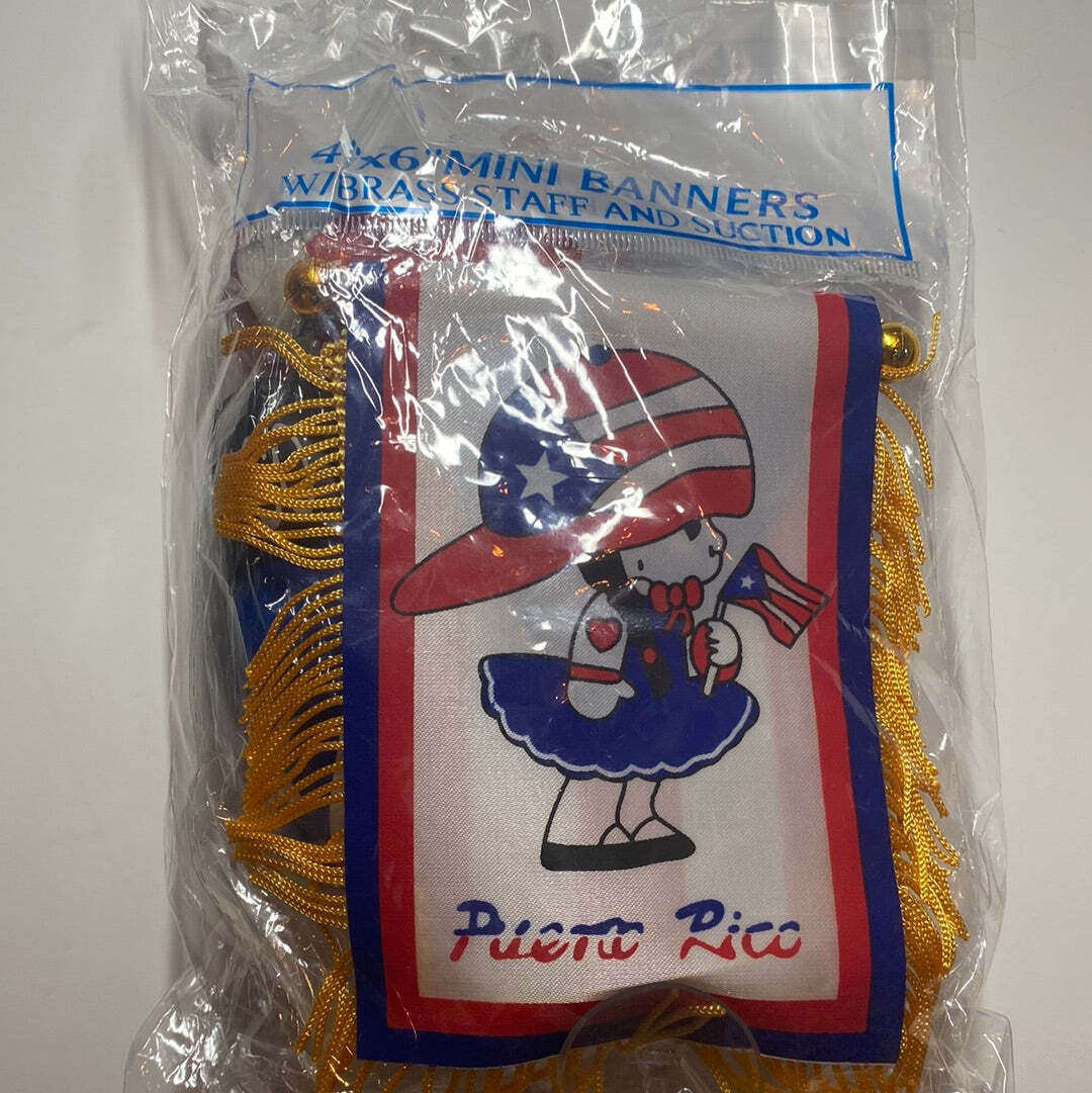 Puerto Rico Mini Boxing Gloves and Boricua Girl Mini Flag Lot 2 Pieces