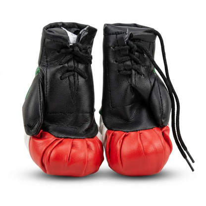Polished rear view of Mexico mini boxing gloves